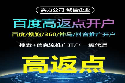 某某sem推广公司在某行业的应用与效果分析